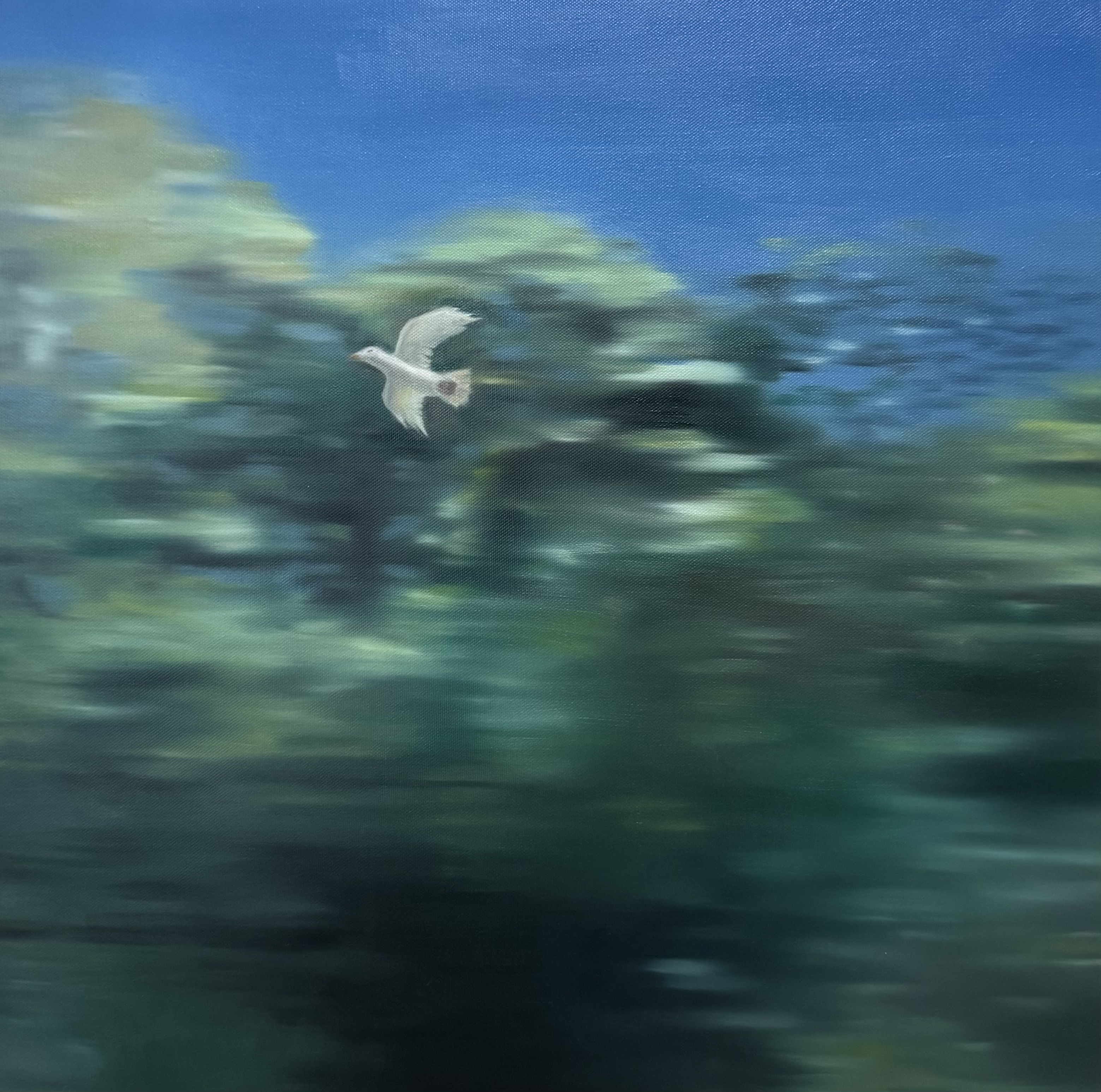 gigapixel view img