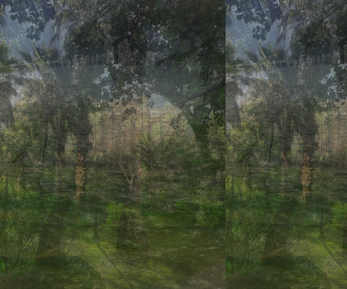 gigapixel view img