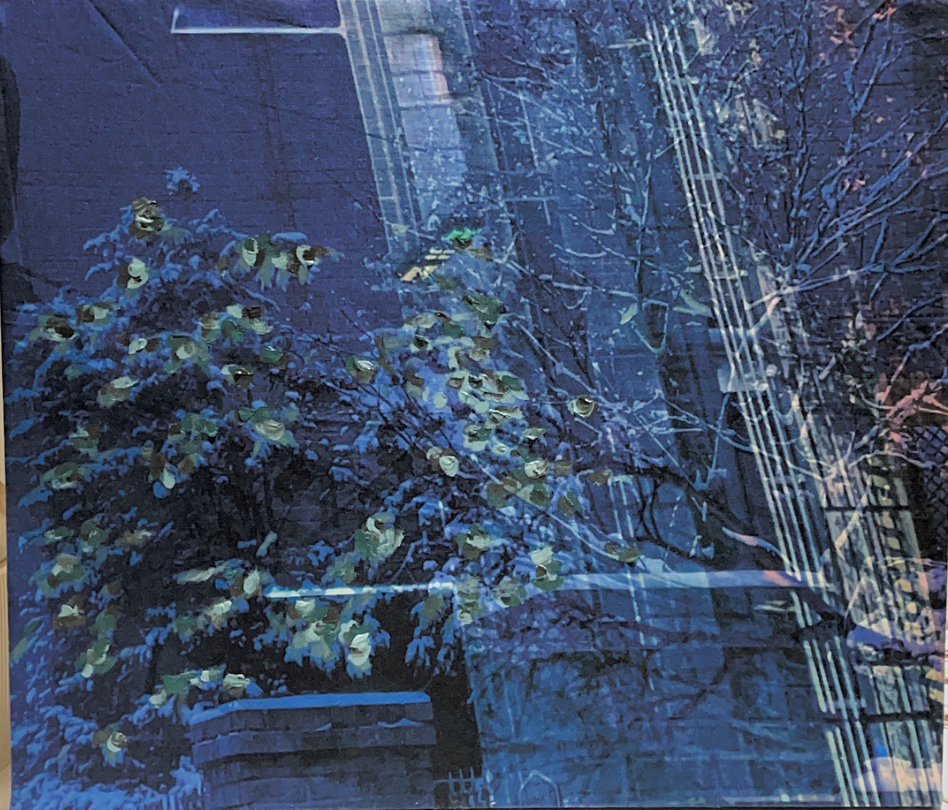 gigapixel view img