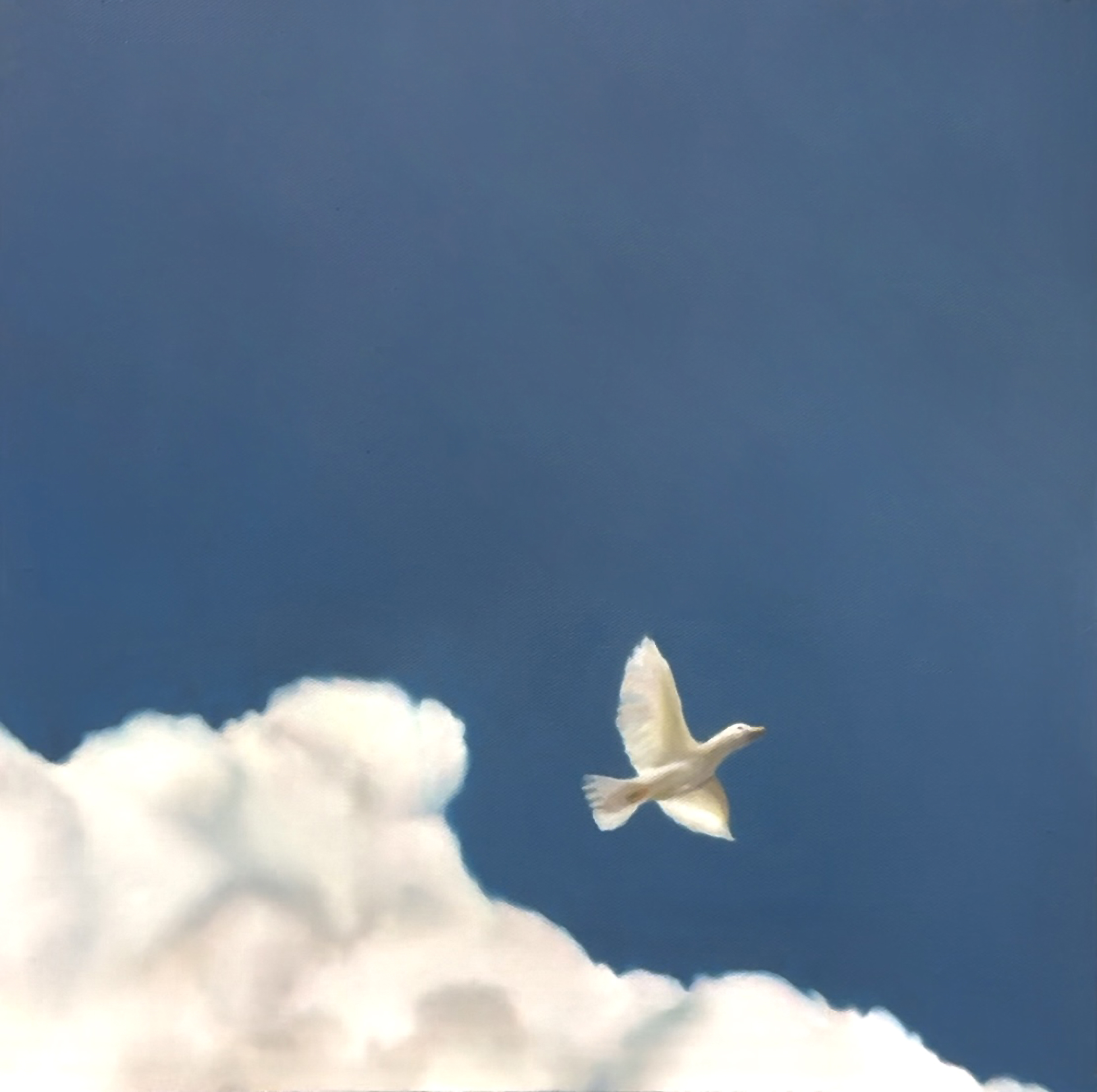 gigapixel view img